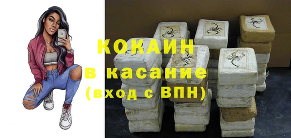 дмт Арсеньев
