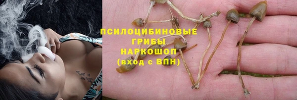 дмт Арсеньев