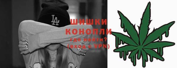 дмт Арсеньев