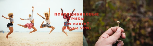 дмт Арсеньев