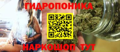 спайс Ачхой-Мартан